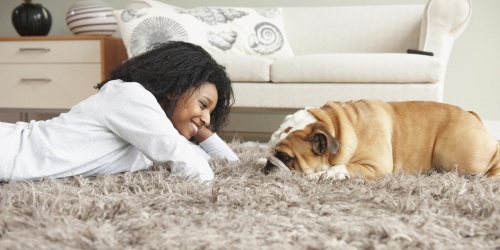 can-put-carpet-keep-dog-peeing