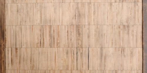 Javor wenge