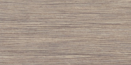 Gerflor Taralay Initial Comfort wood 0799 filament light