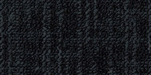 Frisk 9501