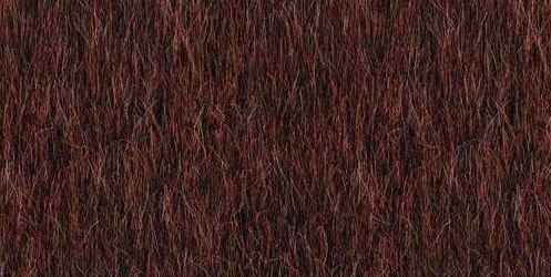 Lita 2081