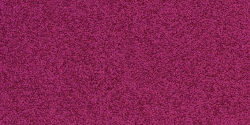 Palatino 4007