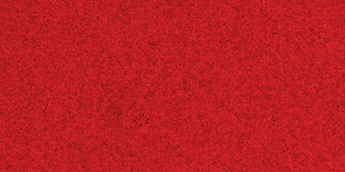 Palatino 4301
