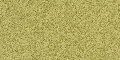 Palatino 6431