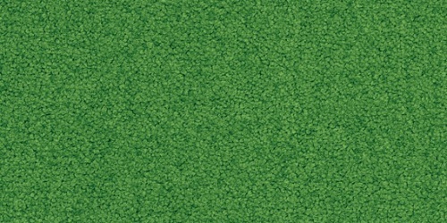 Palatino 7218