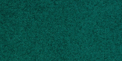 Palatino 7571