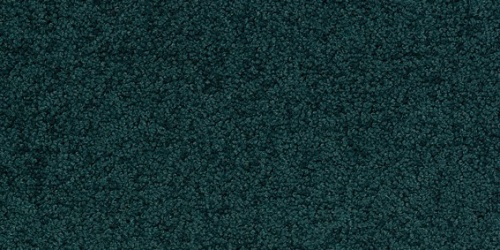 Palatino 8921