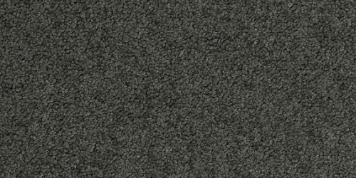 Palatino 9970