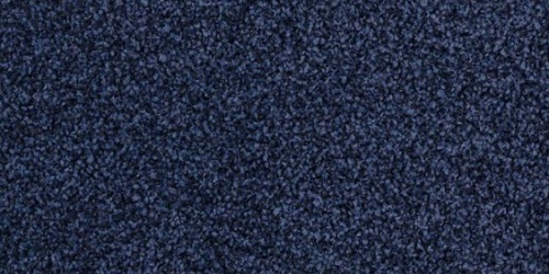 Torso 8813