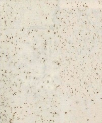 Jelinek Cork Group Harmony White
