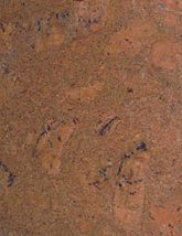 Jelinek Cork Group Sierra Brown.gif