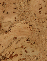 Jelinek Cork Group Sierra.gif