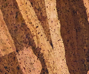  Corkart Exclusive - 3159