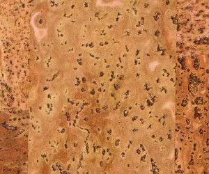 Corkart Lite 3386