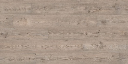 Wineo 300  Ascona Pine Grey