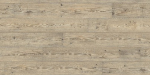 Wineo 500 medium V2 Ascona Pine Nature