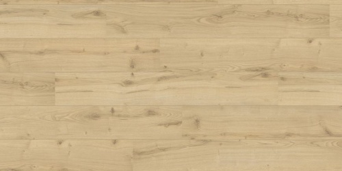Wineo 500 medium V2 Ocean Oak