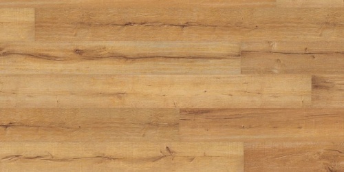 Wineo 500 XL Tirol Oak Honey