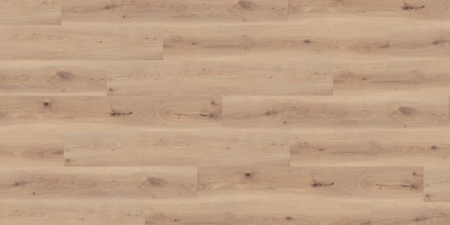 wineo DESIGNline Kingsize Native Oak