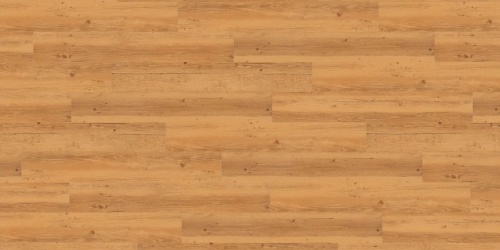 wineo DESIGNline Select Wood Scandinavian Pine