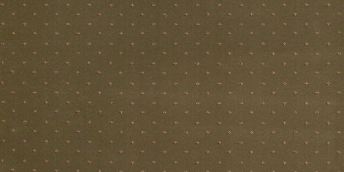 Stainsafe Super Wiltax Jewel 1881-40