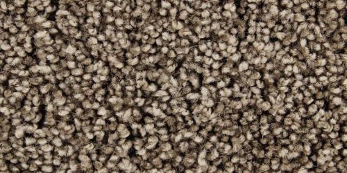 Chavelli 133 - detail