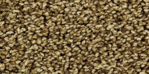 Chavelli 164 - detail