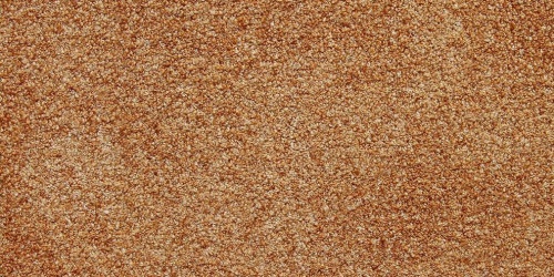 Celeste 881