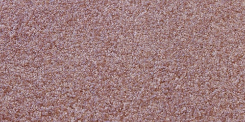 Divo 63
