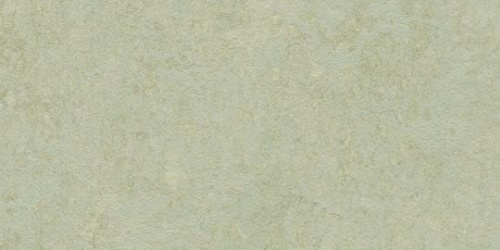 Forbo Marmoleum Fresco 3884 frost