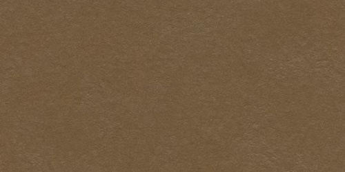 Forbo Marmoleum Walton Cirrus 3357 leather