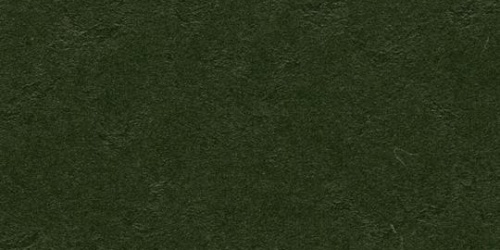 Forbo Marmoleum Walton Cirrus 3359 bottle green