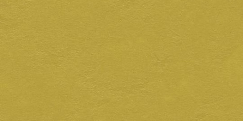 Forbo Marmoleum Walton Cirrus 3362 yellow moss