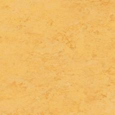 Tarkett Acoustic Veneto Cork xf²™ CORN