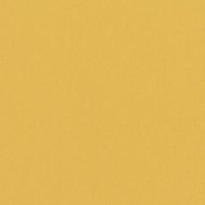 Tarkett Compact Etrusco xf² 2.5mm YELLOW