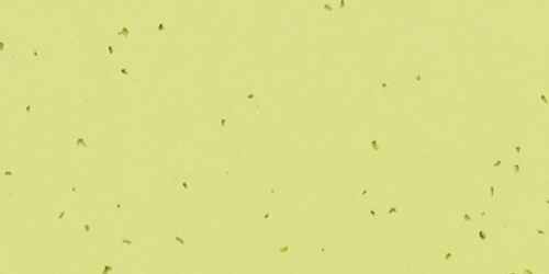 Forbo Sphera Energetic spring