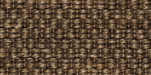 Zambesi 2397