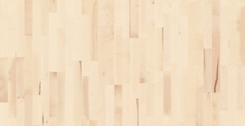 Parador Basic European Maple White