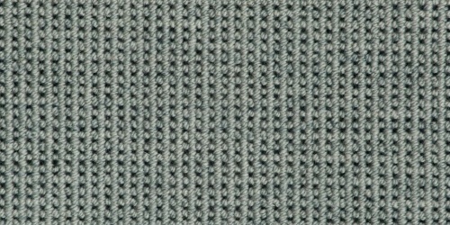 Iona 50