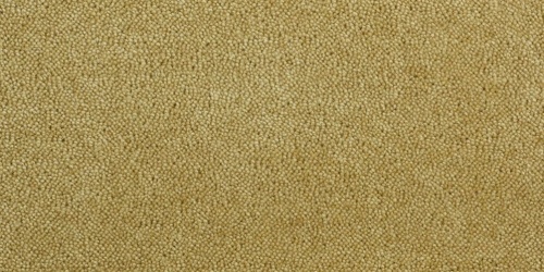 Sheba 1031
