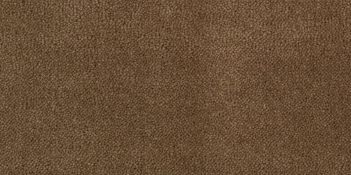 Sheba 1581