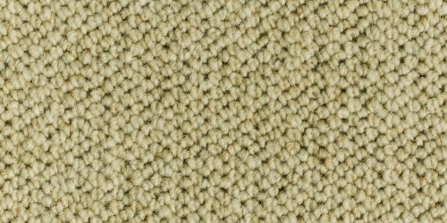 Taiga 4159
