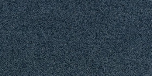 Palatino 8431