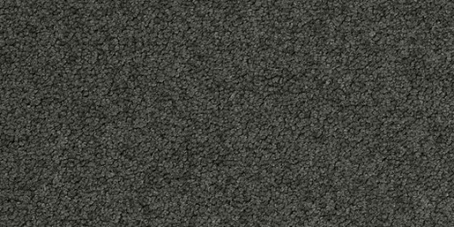 Palatino 9970