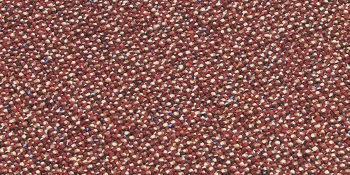 Vesuvius 446