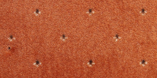 Palace 64