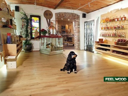 Dubové podlahy FEEL WOOD Dubová podlaha, 15x137 mm olej natur
