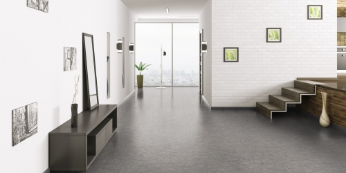Přírodní linoleum Tarkett Compact Veneto xf² 2.0 mm 14871702