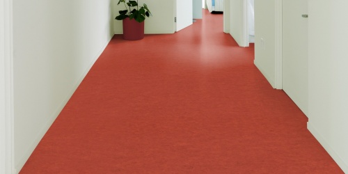 Přírodní linoleum Tarkett Compact Veneto xf² 3.2 mm 14873641