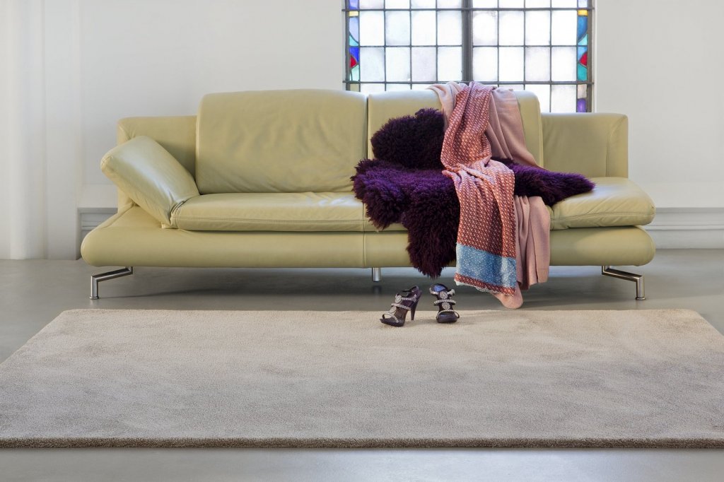 Luxusní koberce Edel Wild Romance